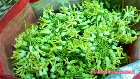 sabsabidukong|PAGKUHA NG BAGBAGKONG/DUKEP SABSABIDUKONG IN .